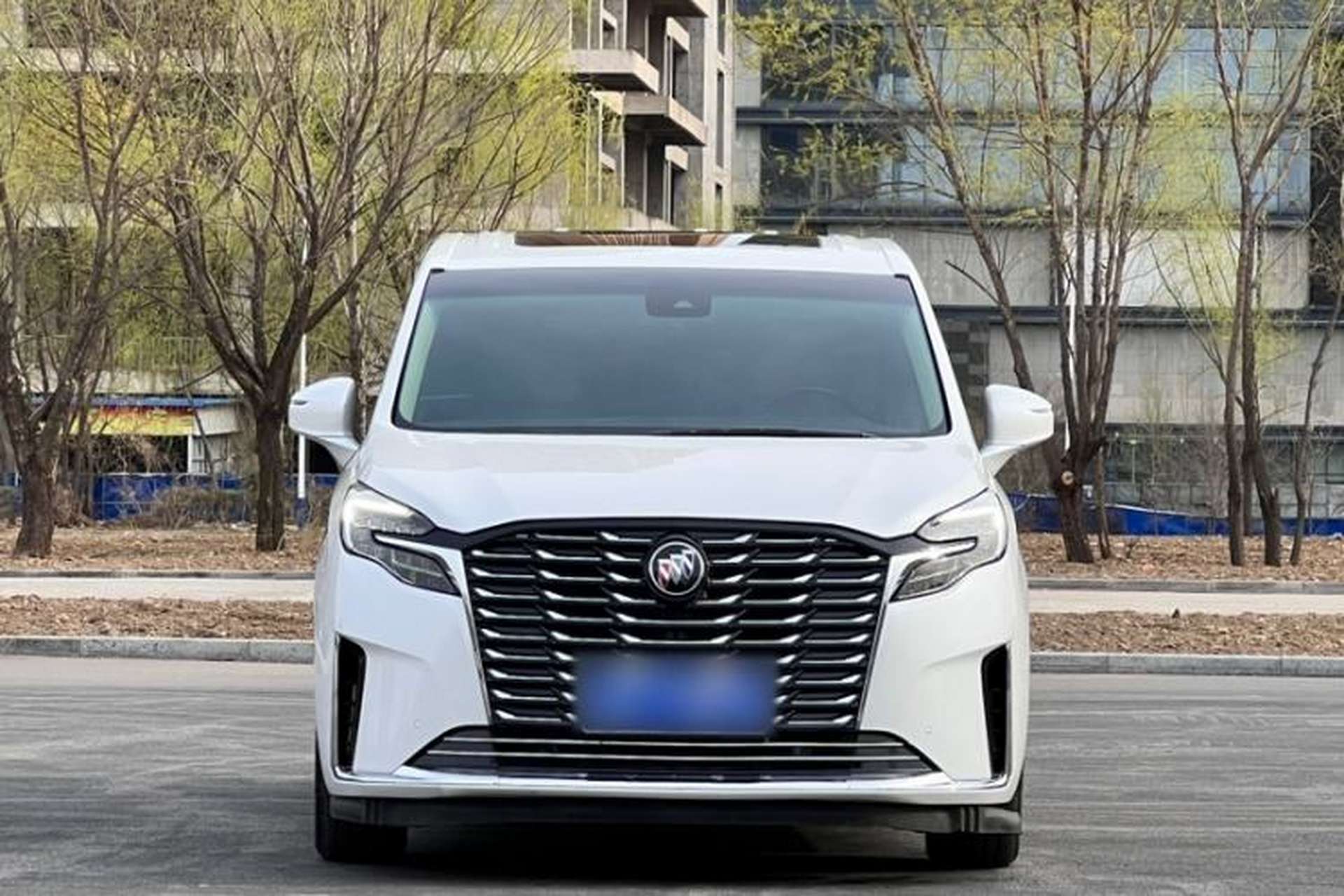 Used Buick GL8 2023 ES Lu Zun Deluxe Model Exterior 1