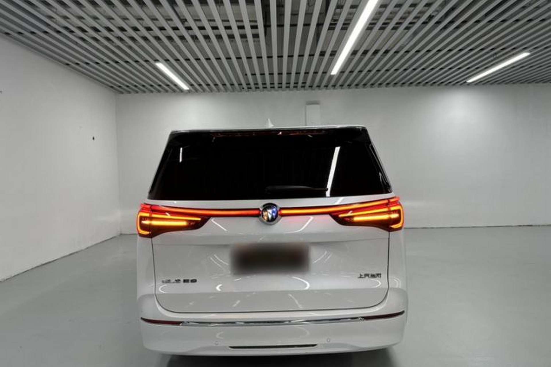 Used Buick GL8 2023 ES Lu Zun Comfort Model Exterior 3