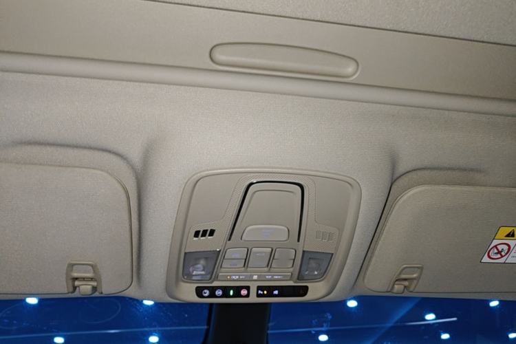 Used Buick GL8 2023 ES Lu Zun Deluxe Model Headliner