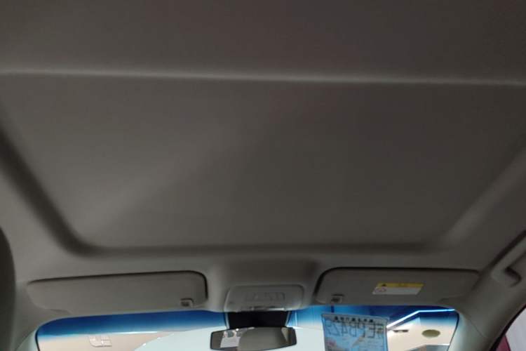 Used Buick GL8 2023 Land Executive Class Comfort Model Headliner
