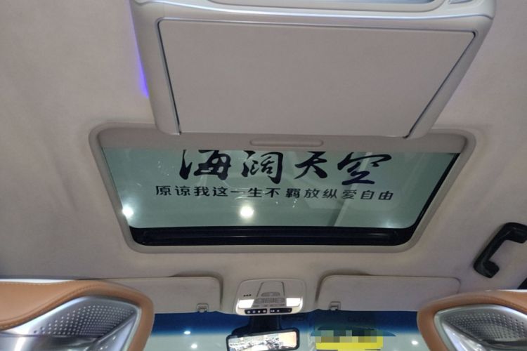 Used Buick GL8 2023 ES Lu Zun Deluxe Model Headliner