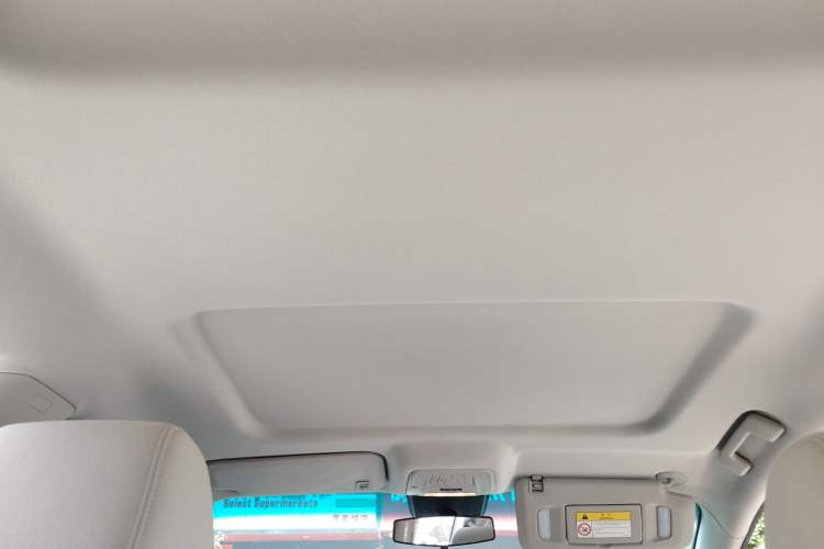 Used Buick GL8 2023 Land Executive Class Smart Enjoyment Model Headliner