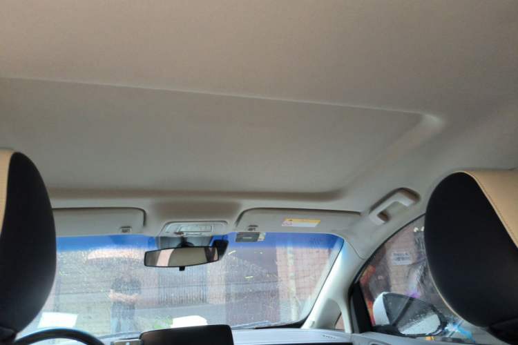Used Buick GL8 2023 Land Executive Class Smart Enjoyment Model Headliner