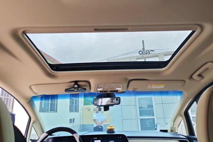 Used Buick GL8 2023 ES Lu Zun Deluxe Model Headliner