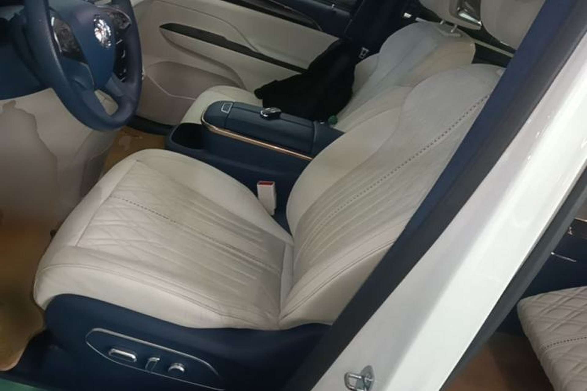 Used Buick GL8 2023 Avenir Avia Four-Seat Prestige Edition Left Front Seat