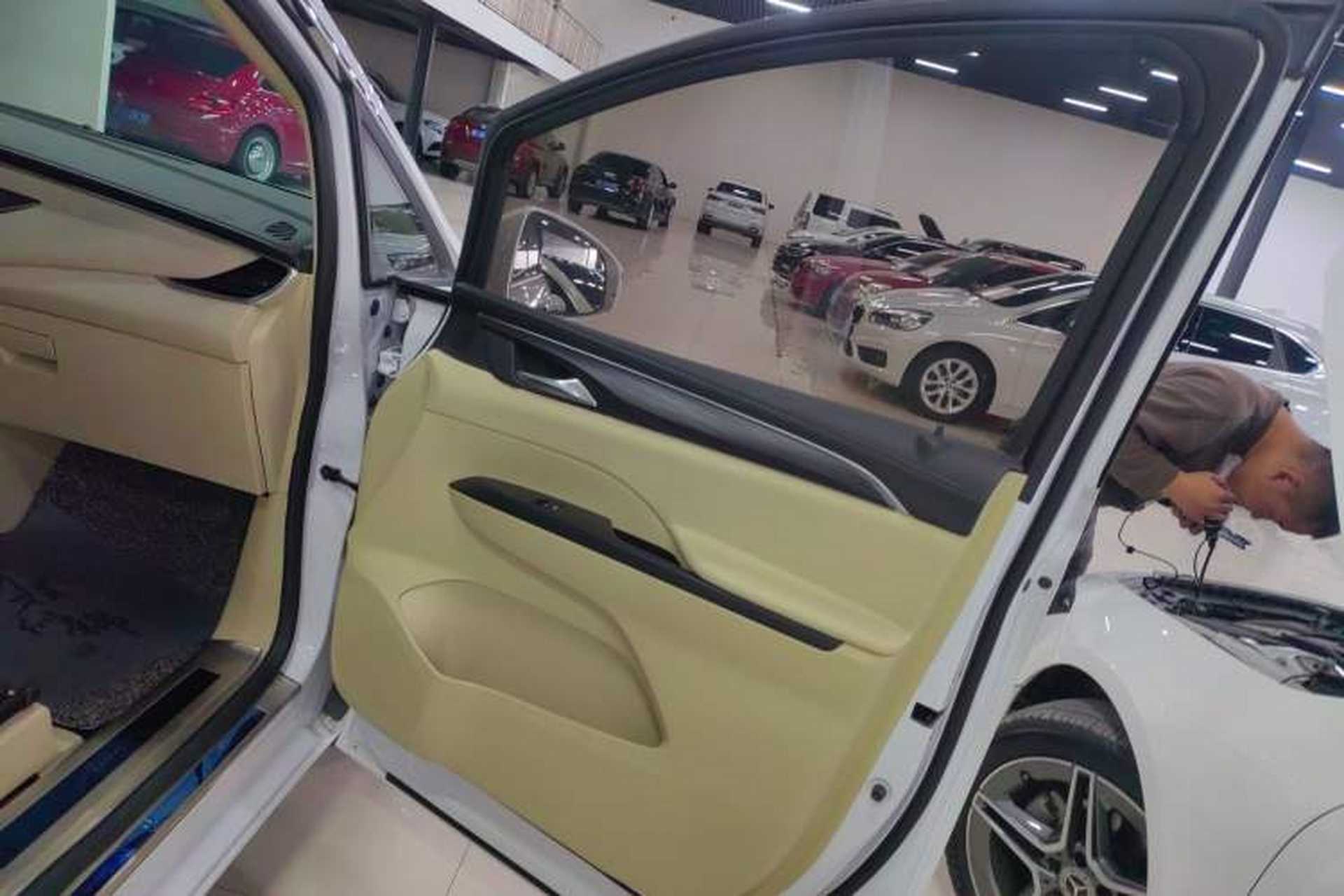 Used Buick GL8 2023 ES Lu Zun Deluxe Model Right Front Door Interior