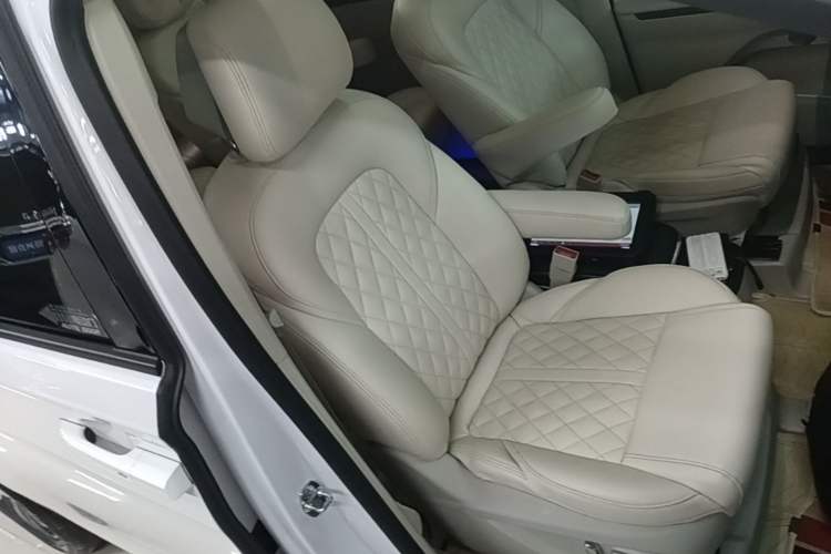 Used Buick GL8 2023 ES Lu Zun Comfort Model Right Front Seat