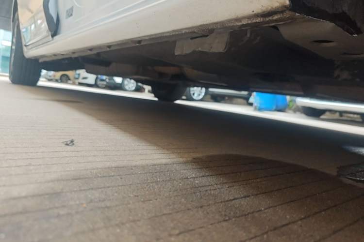 Used Buick GL8 2023 ES Lu Zun Deluxe Model Right Side Sill