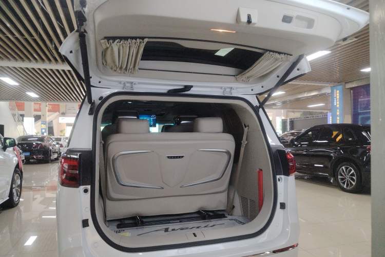 Used Buick GL8 2023 ES Lu Zun Comfort Model Trunk