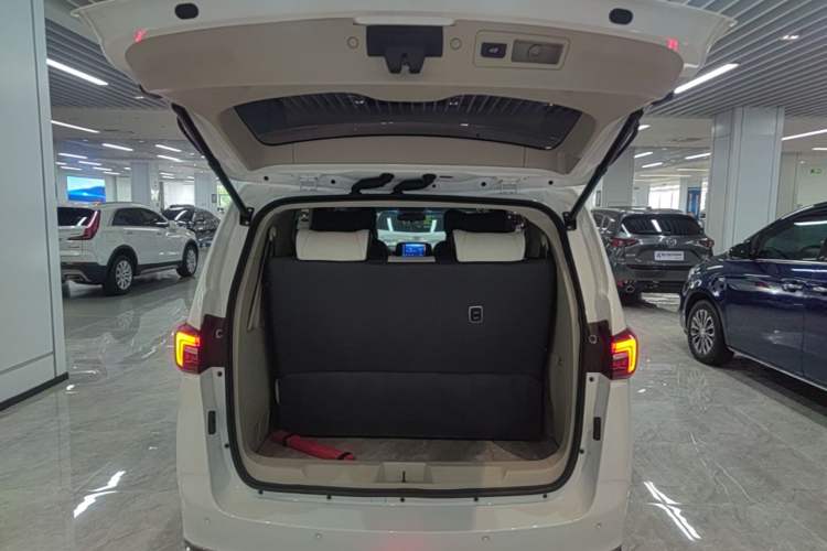 Used Buick GL8 2023 Land Executive Class Comfort Model Trunk