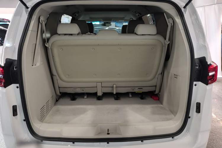 Used Buick GL8 2023 Land Executive Class Comfort Model Trunk