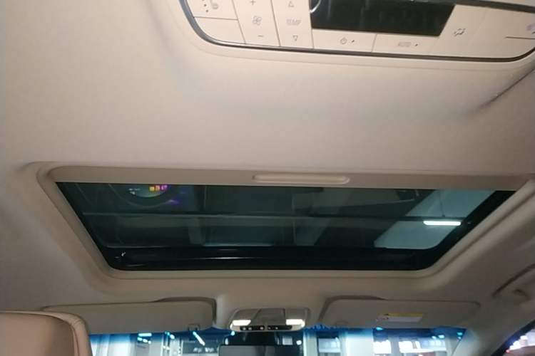 Used Buick GL8 2023 ES Lu Zun Deluxe Model Headliner