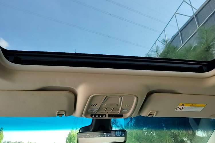 Used Buick GL8 2023 ES Lu Zun Deluxe Model Headliner