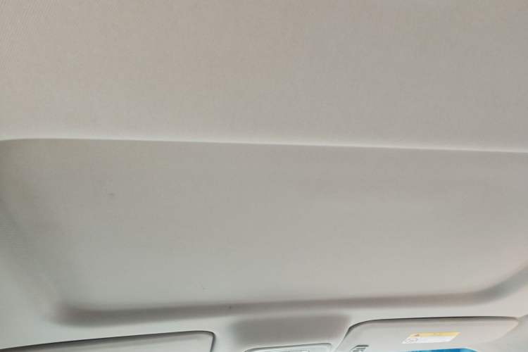 Used Buick GL8 2023 Land Executive Class Smart Enjoyment Model Headliner