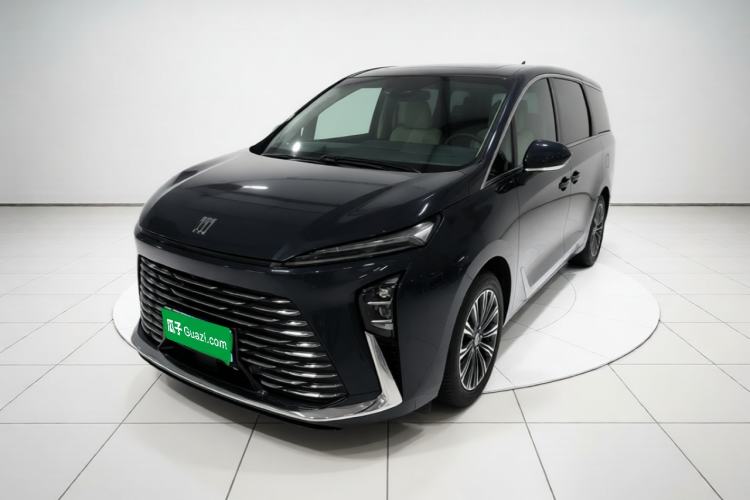 Buick GL8 2025 Lu Zun Smart Enjoyment Edition