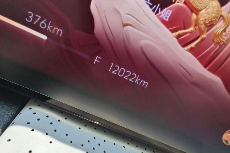 Used Buick GL8 2025 Lu Zun Deluxe Edition Odometer Close Up