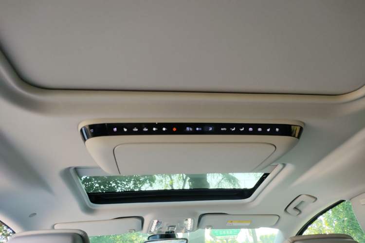 Used Buick GL8 2025 Lu Zun Deluxe Edition Headliner