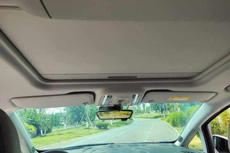 Used Buick GL8 2025 Lu Zun Deluxe Edition Headliner