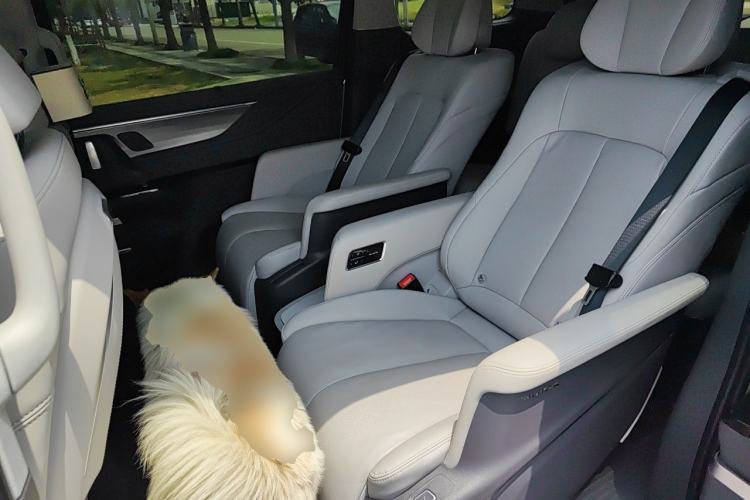Used Buick GL8 2025 Lu Zun Deluxe Edition Left Rear Seat