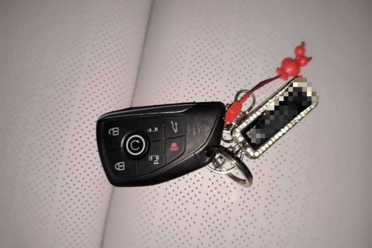 Used Buick GL8 2025 Lu Zun Smart Enjoyment Edition Vehicle Key