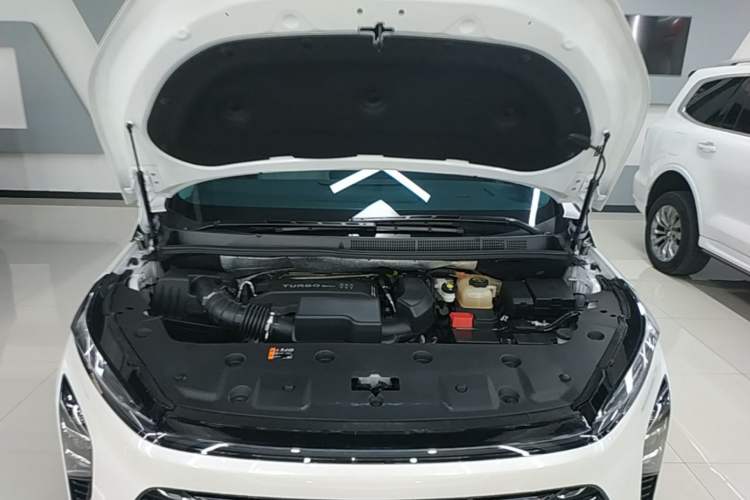 Used Buick GL8 2025 Lu Zun Smart Enjoyment Edition Engine Bay