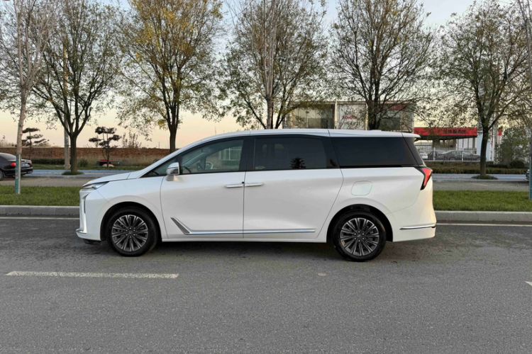 Used Buick GL8 2025 Lu Zun Deluxe Edition Exterior 3