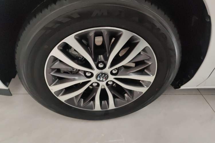 Used Buick GL8 2025 Model Land Executive Class First-Adoption Edition Exterior 4