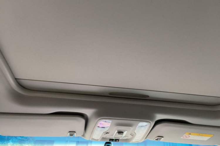 Used Buick GL8 2025 Lu Zun First Edition Headliner