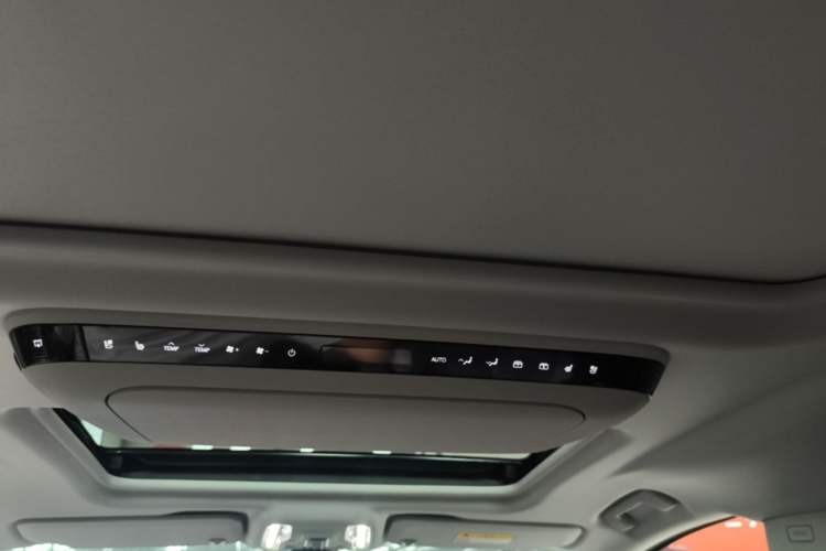 Used Buick GL8 2025 Lu Zun Deluxe Edition Headliner