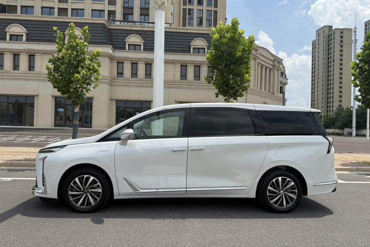 Used Buick GL8 2026 Model Lu Zun Luxury Edition Exterior 6