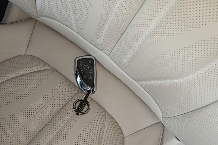 Used Buick GL8 New Energy 2024 Lu Zun Luxury Edition 6-Seater Interior 1