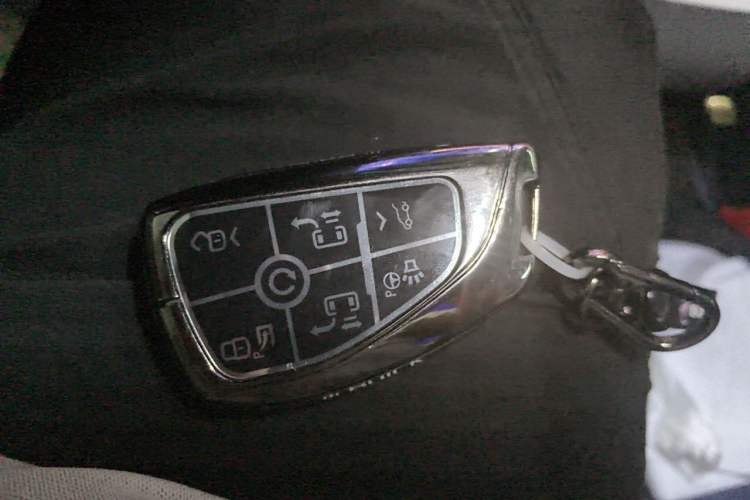 Used Buick GL8 New Energy 2024 Lu Zun Luxury Edition 7-Seater Vehicle Key