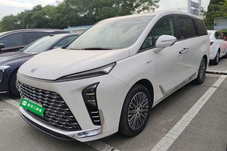 Buick GL8 New Energy 2024 Lu Zun Luxury Edition 7-Seater