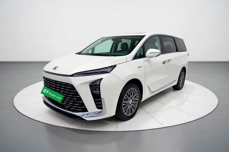Buick GL8 New Energy 2024 Lu Zun Luxury Edition 6-Seater