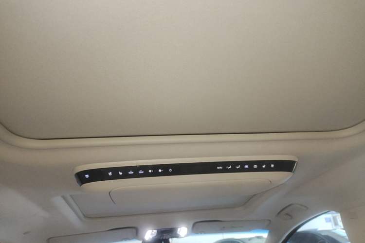 Used Buick GL8 New Energy 2024 Lu Zun Luxury Edition 6-Seater Headliner