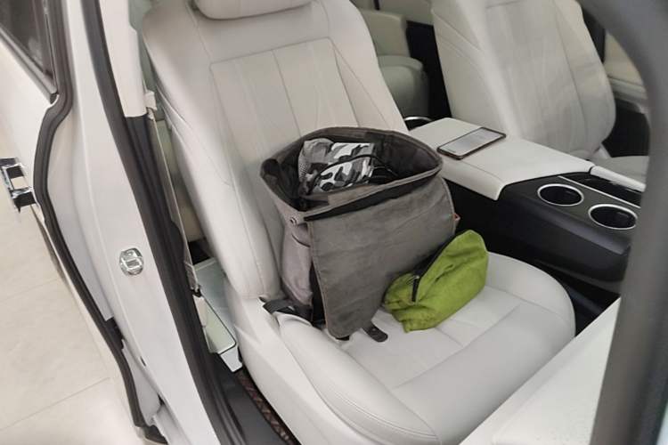Used Buick GL8 New Energy 2024 Lu Zun Luxury Edition 7-Seater Right Front Seat