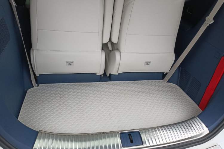 Used Buick GL8 New Energy 2024 Lu Zun Luxury Edition 6-Seater Trunk