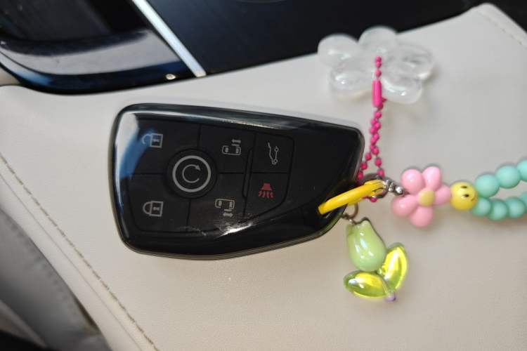 Used Buick GL8 New Energy 2024 Lu Zun Deluxe Edition 7-Seater Vehicle Key