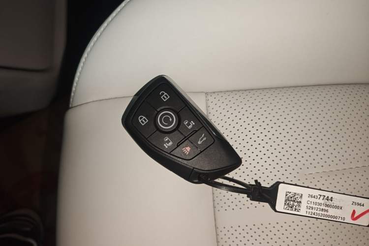 Used Buick GL8 New Energy 2024 Lu Zun Smart Edition 7-Seater Vehicle Key