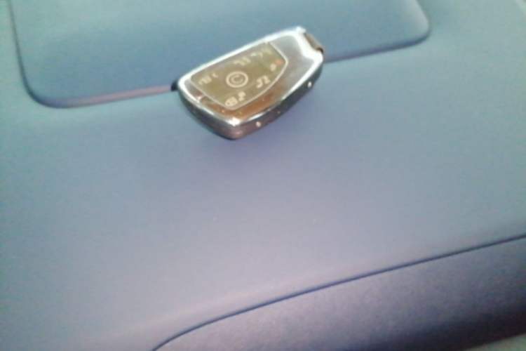 Used Buick GL8 New Energy 2024 Lu Zun Luxury Edition 7-Seater Vehicle Key