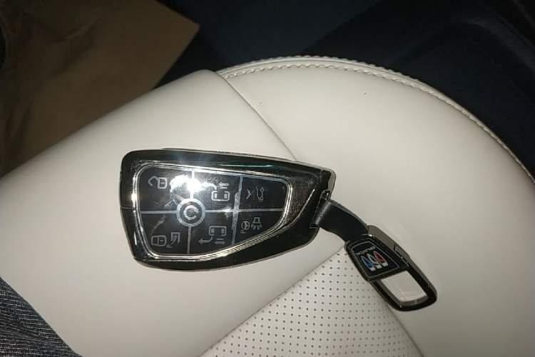 Used Buick GL8 New Energy 2024 Lu Zun Luxury Edition 6-Seater Vehicle Key