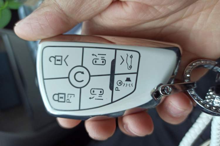 Used Buick GL8 New Energy 2026 Model Lu Zun Prestige Edition Vehicle Key