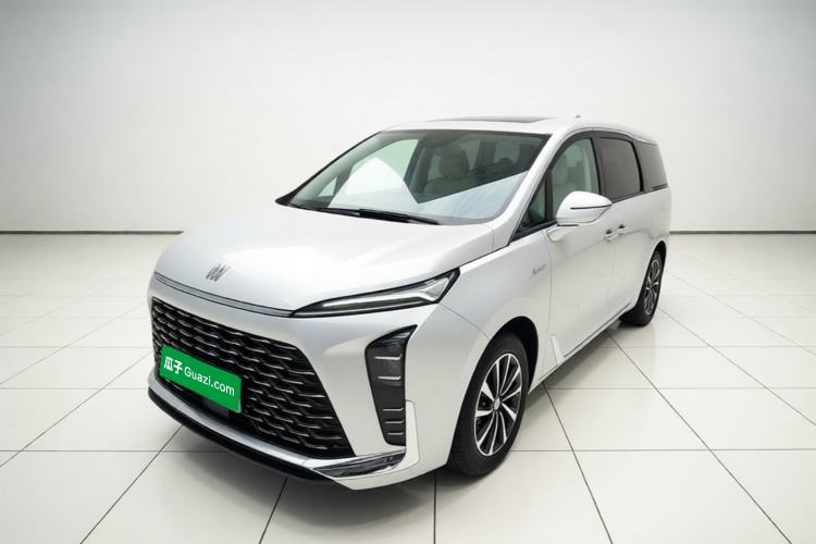 Buick GL8 New Energy 2026 Model Lu Zun Prestige Edition