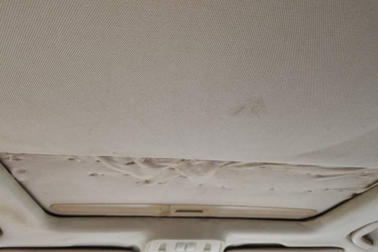 Used Buick GT 2010 GT 1.6L Automatic Fashion Edition Headliner