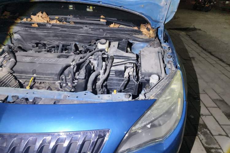 Used Buick GT 2010 XT 1.6T Fashion Sport Edition Engine Bay Left