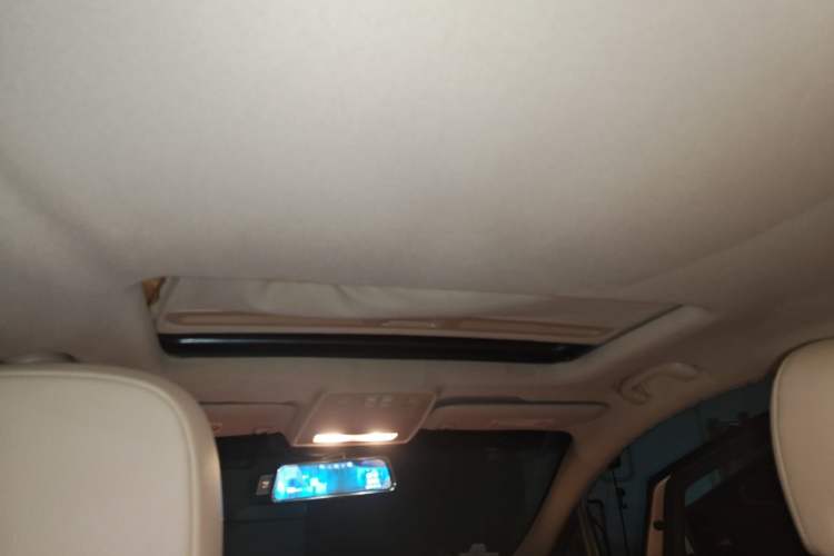Used Buick GT 2010 GT 1.8L Automatic Luxury Edition Headliner