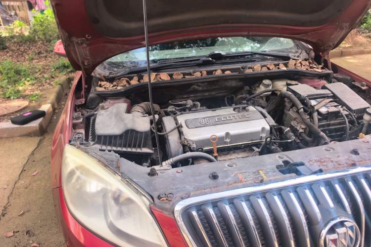 Used Buick GT 2010 GT 1.6L Automatic Fashion Edition Engine Bay Right