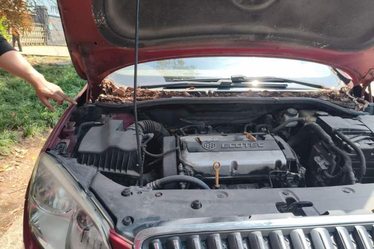 Used Buick GT 2010 GT 1.6L Manual Entry-Level Model Engine Bay Right