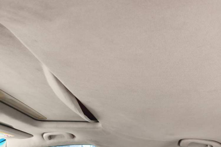 Used Buick GT 2010 GT 1.6L Manual Entry-Level Model Headliner