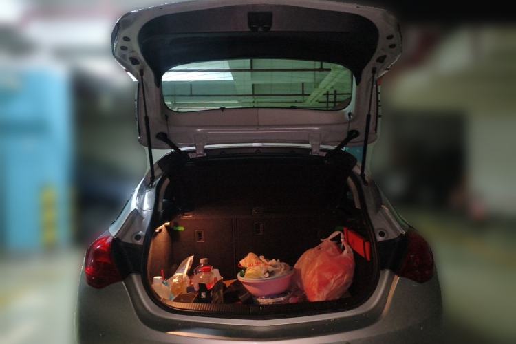 Used Buick GT 2010 XT 1.8L Automatic Fashion Edition Trunk